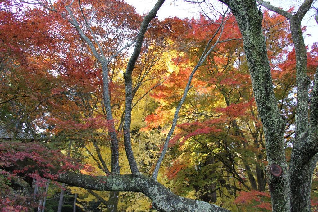 Otsu Nature Garden Hotel Akiruno Exterior photo